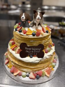 ケーキデビュー